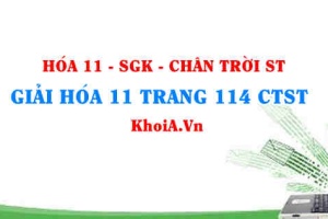 Giải Hóa 11 Chân trời Sáng tạo trang 114